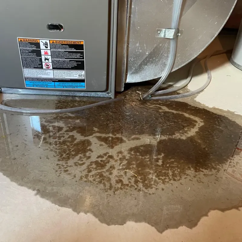 Appliance Leak Cleanup in Delphi, IN